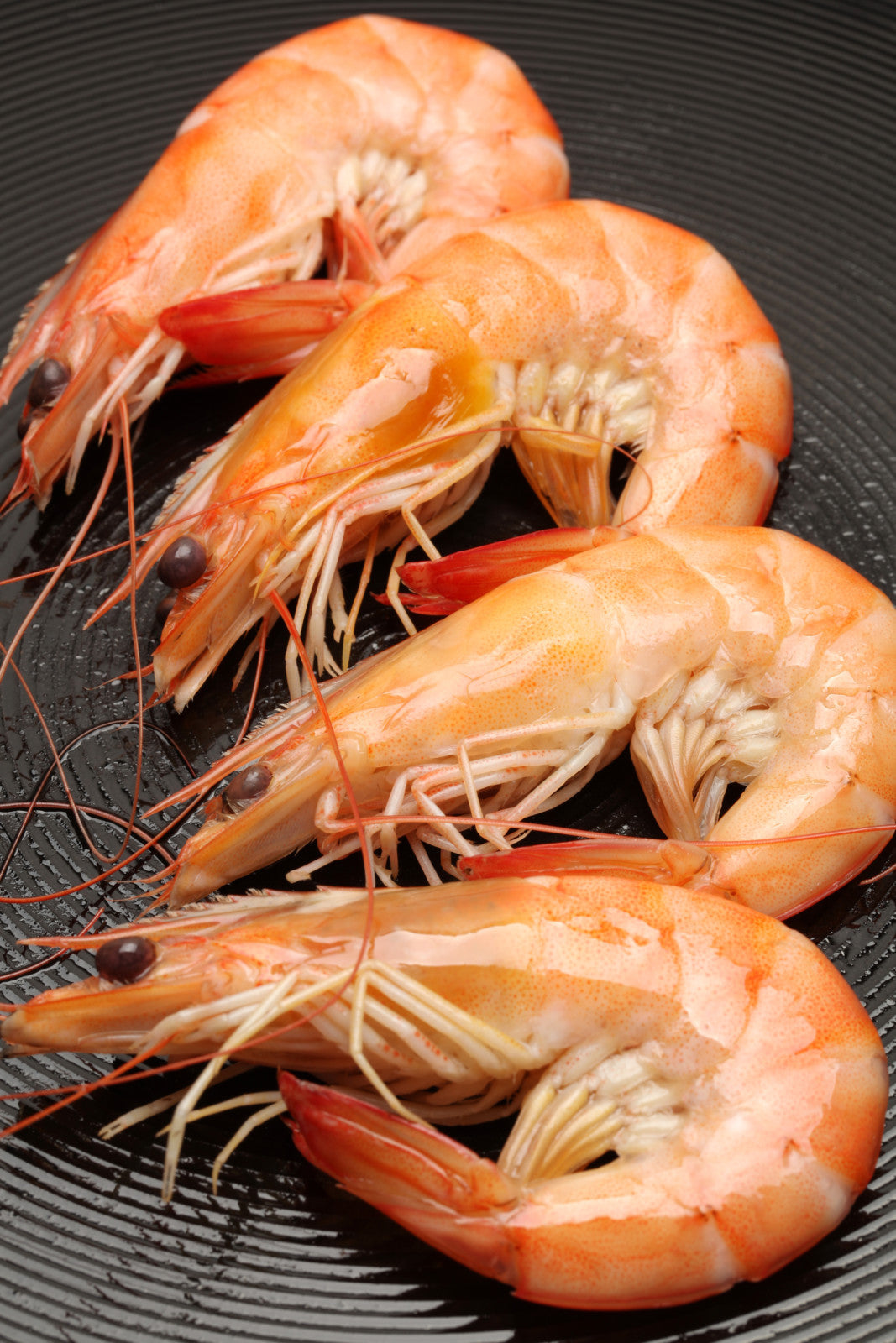 Bouchées de scampis frits